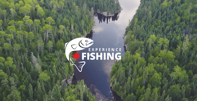 Experiene fishing birdseye view